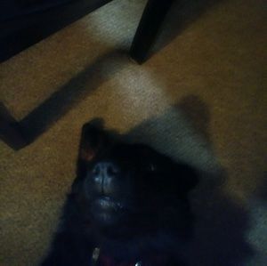 Meet your Posher, Seth